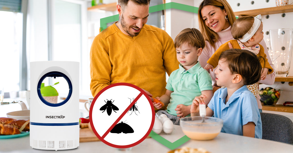 InsectTrap Flying Insect Destroyer